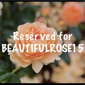 NWT ZARA STUDIO CROPPED HOODLE SZ XS-S